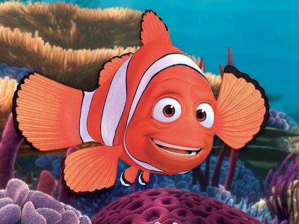 据说它辞去了动物城的工作 《海底总动员》里面的尼莫 《里约大冒险