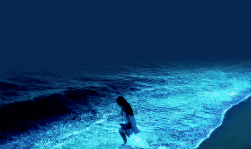 500_298gif 动态图 动图