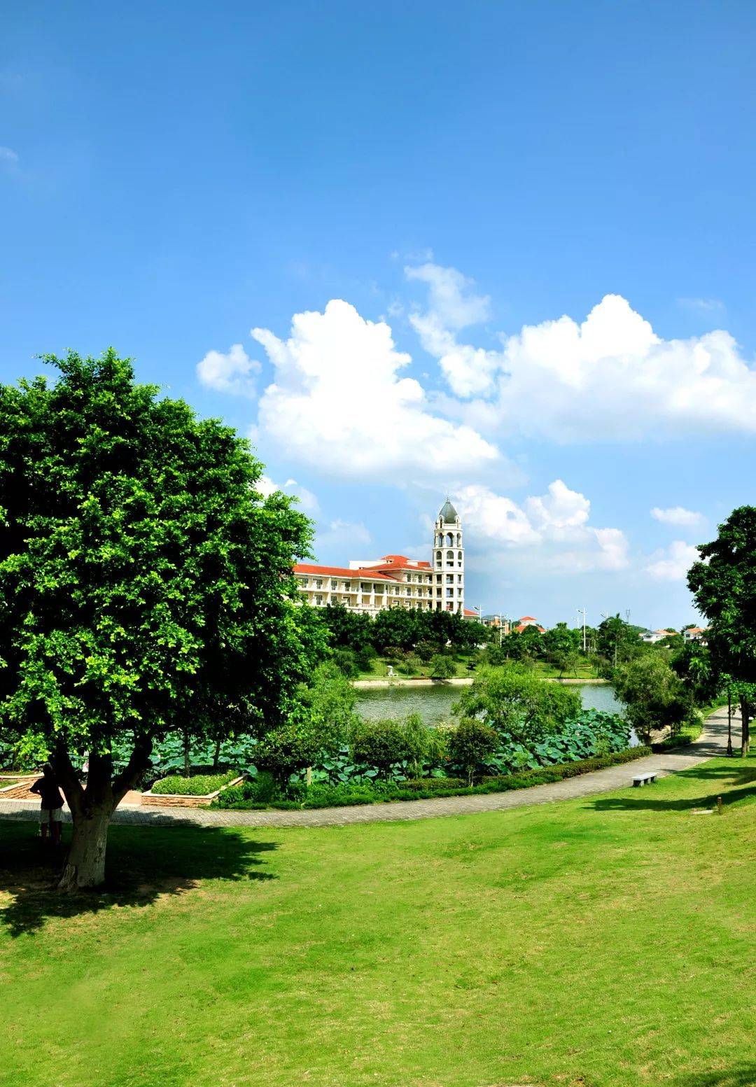 鹤山区高端网站建设_(鹤山区高端网站建设有哪些)