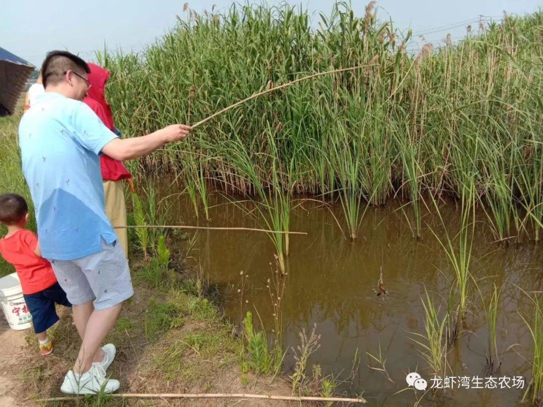 【南京】19.9元搶田園外灘龍峽灣垂釣小龍蝦單人票套餐,週末通用!