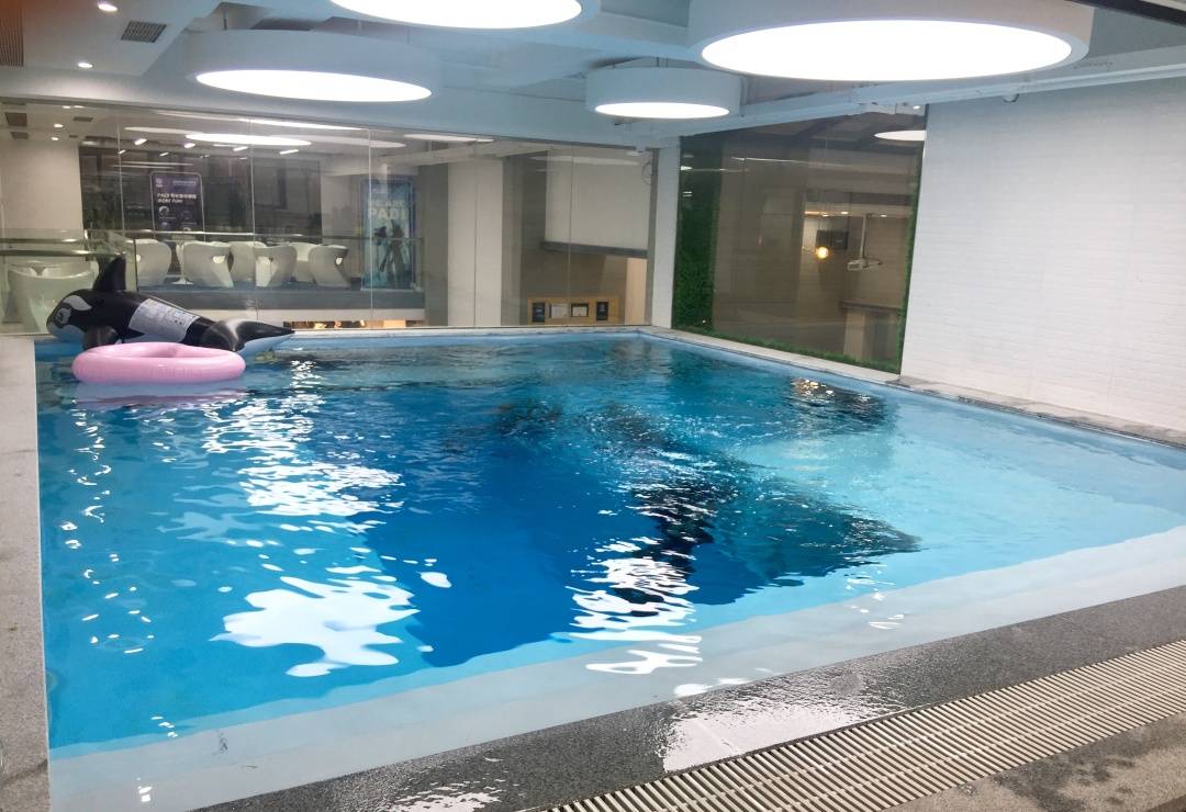 元抢购原价920元seaisee秋冬恒温潜泳 美人鱼潜水摄影套餐,室内恒温