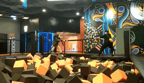 500_290gif 动态图 动图