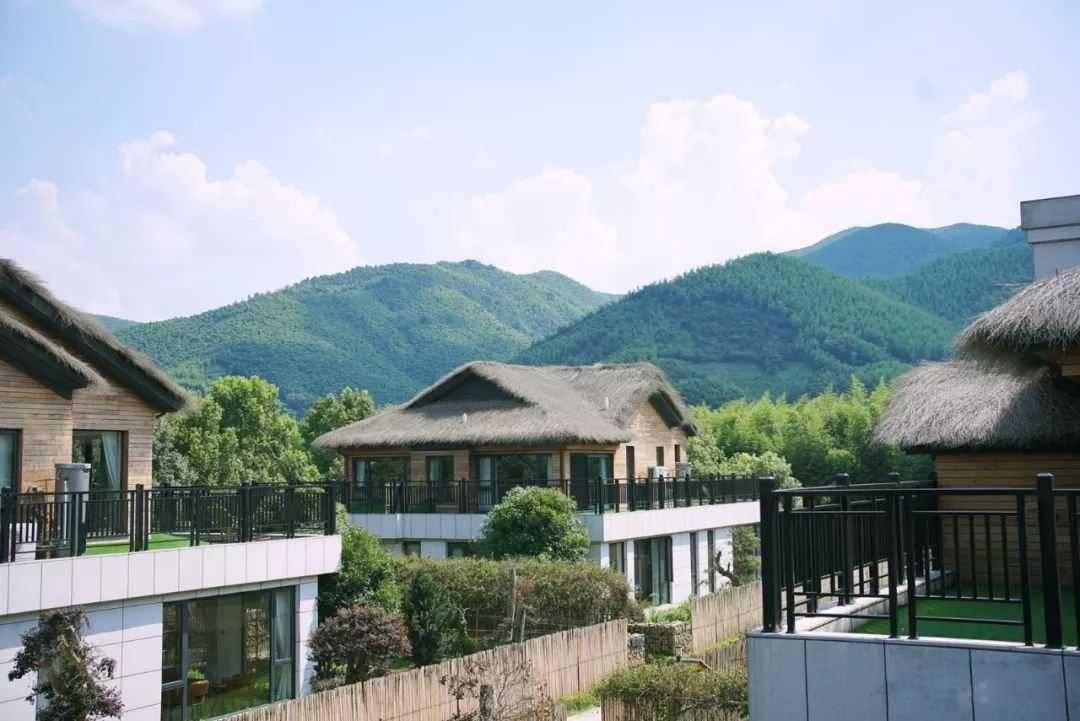 5折特惠囤券抄底入疫后半价住杭州淡竹元丨有效期至