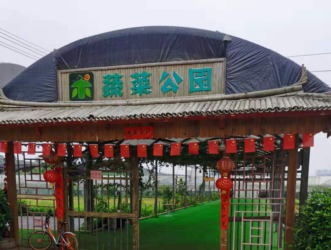 深圳299元6斤蔬菜采摘2大2小石磨豆浆农耕体检在菜博士现代农业产业园