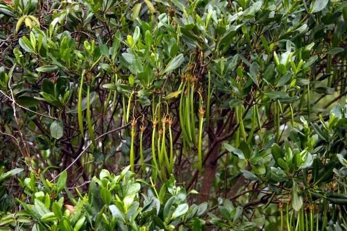 同时也是让公众对生命产生敬重之情