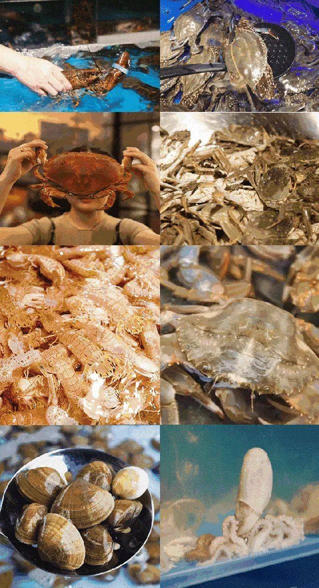 【暑假见】史无前例!平日不加收!￥99秒杀月亮湾碧桂园公寓海景房!