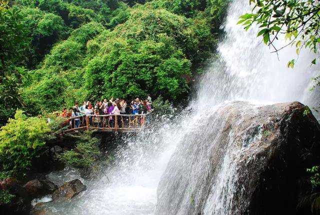 金叶子温泉 白水寨景区成人套票1套