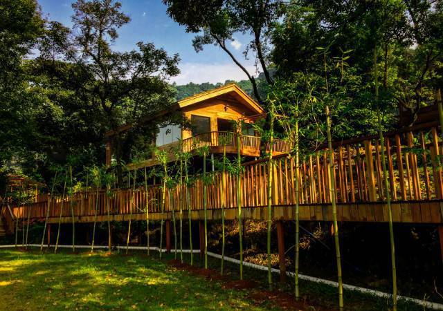 【民宿推介】现实版"林中小屋",体验深山木屋的宁静--二龙山:态林山居
