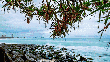 356_200gif 动态图 动图