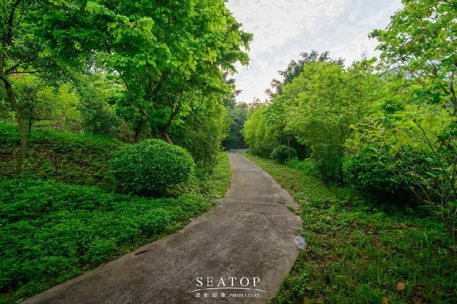 黄腾峡路口百亩桃花谷门票1张 金鸡岩名胜古迹风景区门票1张 限时抢购