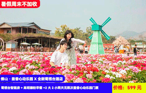 【佛山·盈香心动乐园X景区配套鹭栖台酒店】暑假周末不加收！刺激水上乐园畅玩~造浪池嗨翻天！浪漫四季花海，萌宠乐园惬意度假~50+机动游戏项目全体验！599元抢鹭栖台智能房+高明濑粉早餐+2大2小两天无限次盈香心动乐园门票：水上乐园、童话牧场、森林剧场、无动力乐园、机动乐园畅玩，加100元还可升级全新网红项目芭比飞车、飞毯上山全包