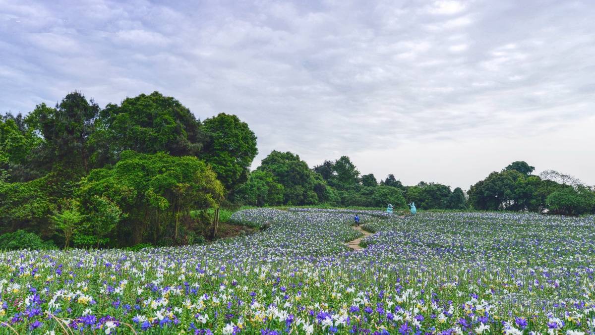 【四川成都】【石象湖露營】露營數星星,才是zui好的疼愛!僅268元搶原