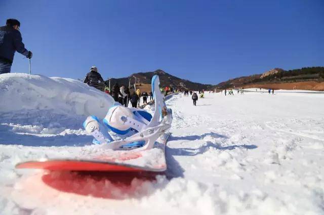 青岛月季山冰雪大世界图片