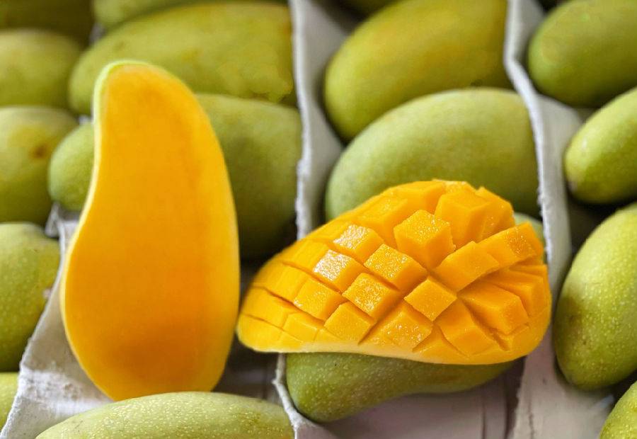 引诱舌尖,激发唾液腺~香甜浓郁的芒果香隔着果皮散发出来成熟的金煌芒