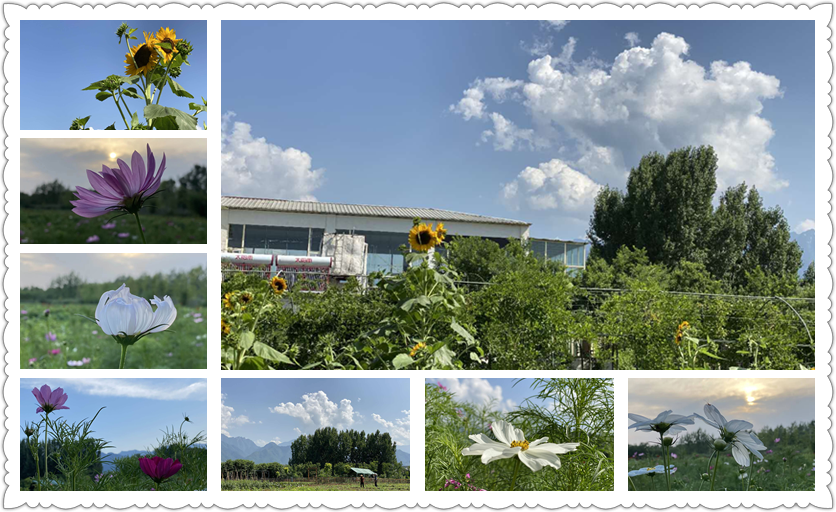 暑假嗨玩就来悦芽谷悠然南山|亲子套票(1大1小)入园门票 网红小火车