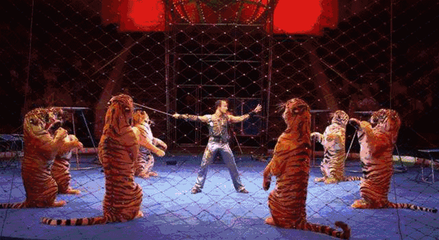 专署的皇家马戏表演者 这些表演者以马戏,驯兽为家族事业 世代相传