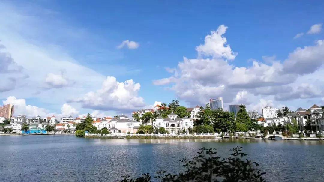 【东莞塘厦三正半山】游湖赏花正当时,人少景美!