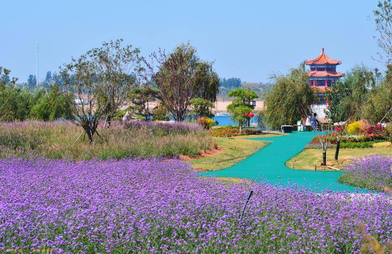 泰山天颐湖花海(成人团队票)