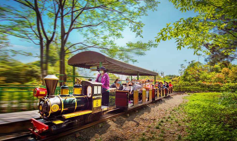 9元抢2021年成都松鼠部落单人年卡(可免费携带一位1米以下儿童)