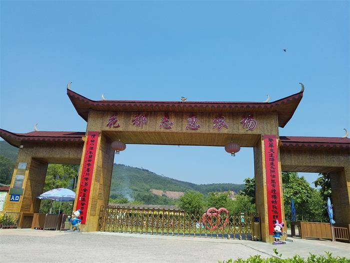 【广州】假期就去花都志惠农场玩啦!