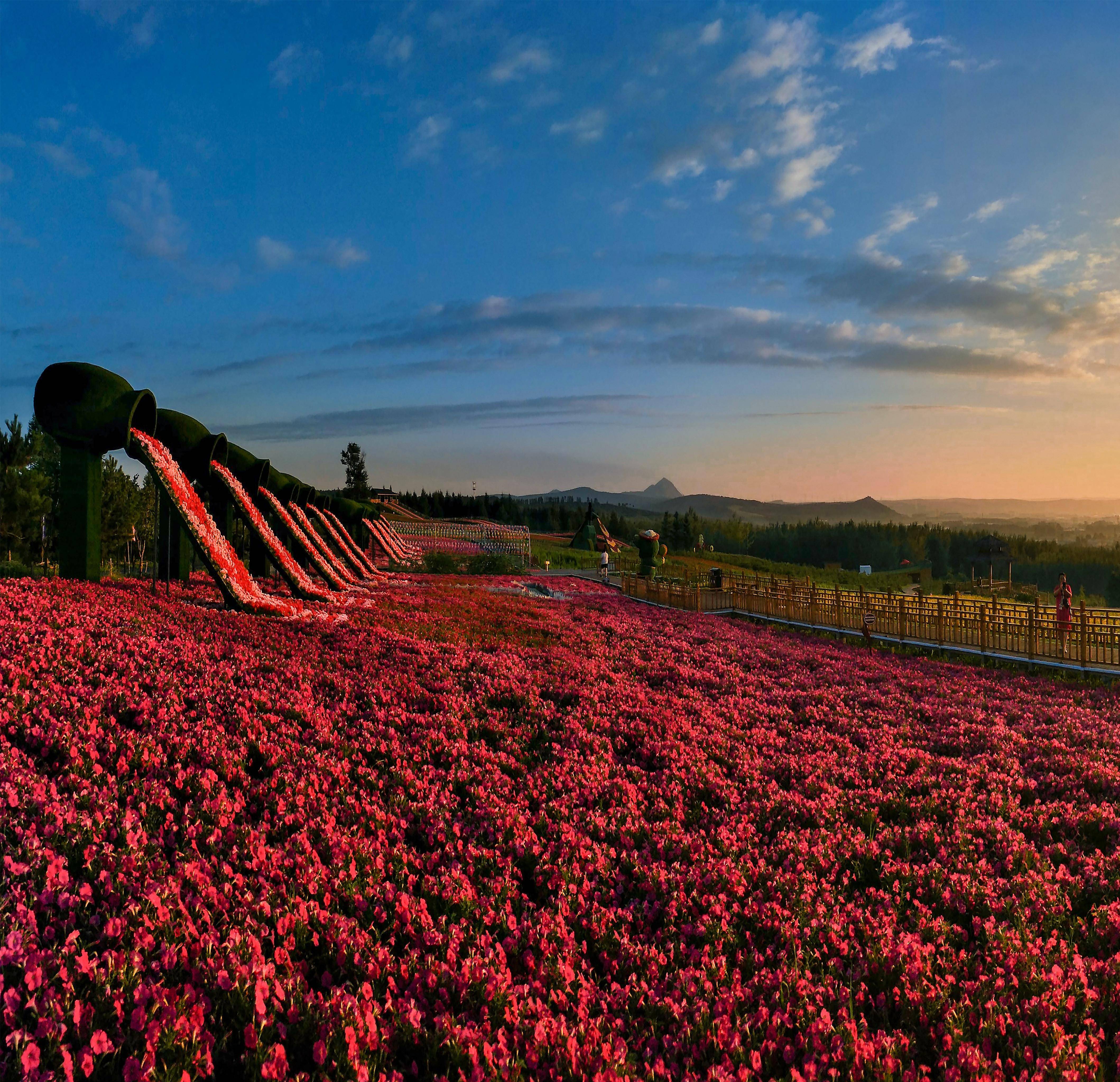 琵岩山风景区跳跳云乐园-成人票(大小同价)
