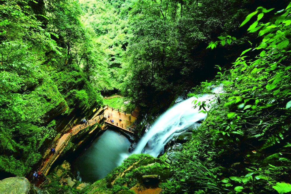 【提前1天预订】雅安碧峰峡自然风景区成人票(含大观光车,电梯,中国