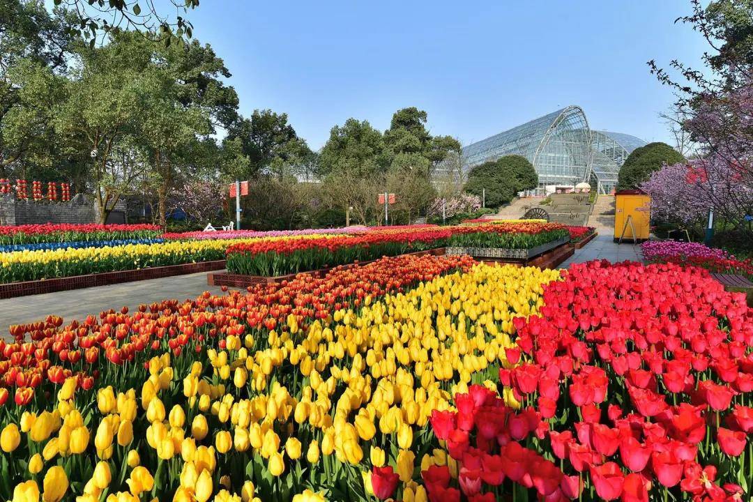 重慶南山植物園