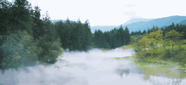 640_293gif 动态图 动图