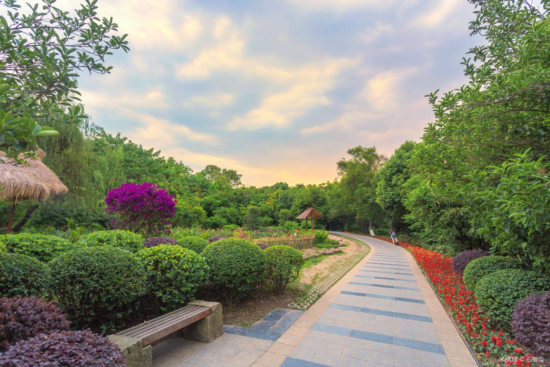 成都植物园门票成人票