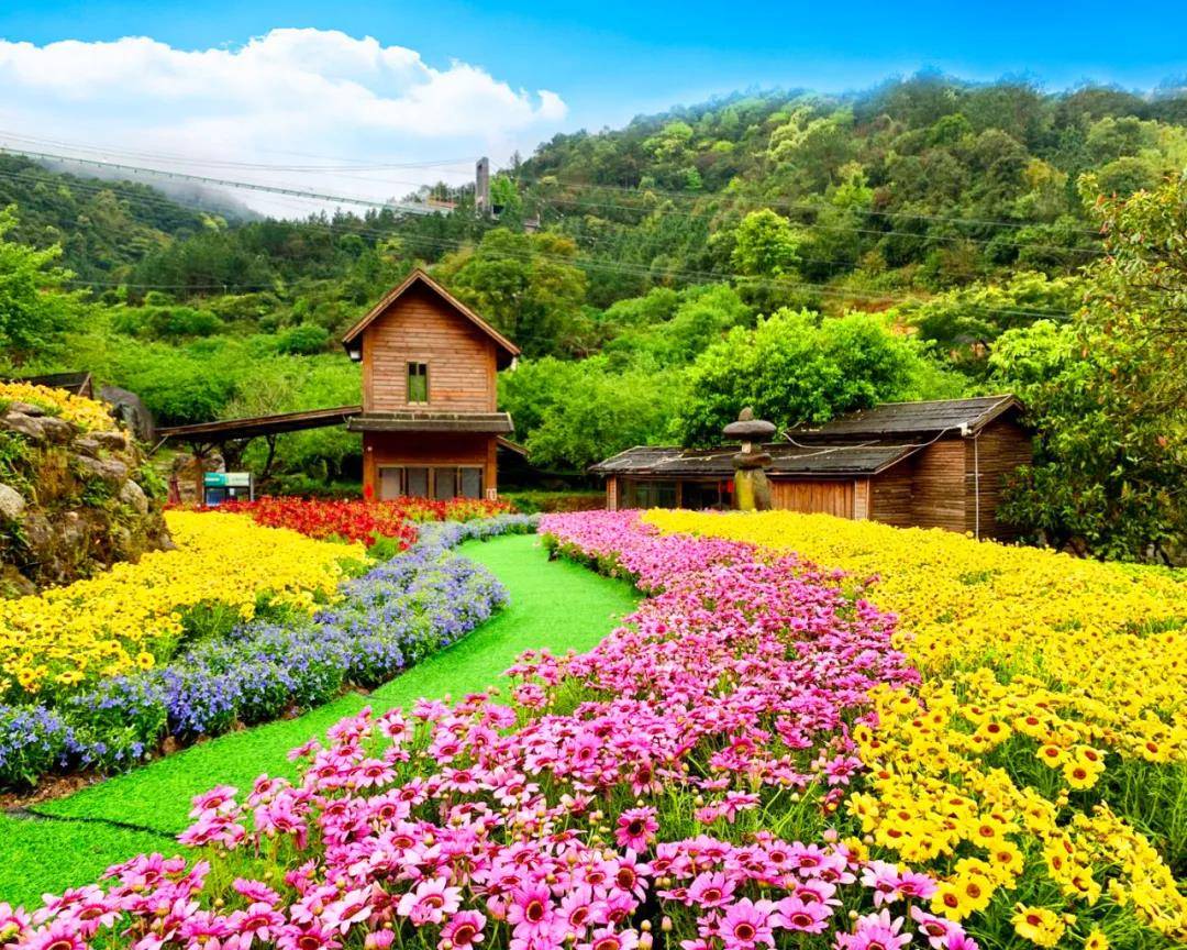 【新兴天露山梅花节】 06399住天露山无忧谷禅缘双床房,含双人自助