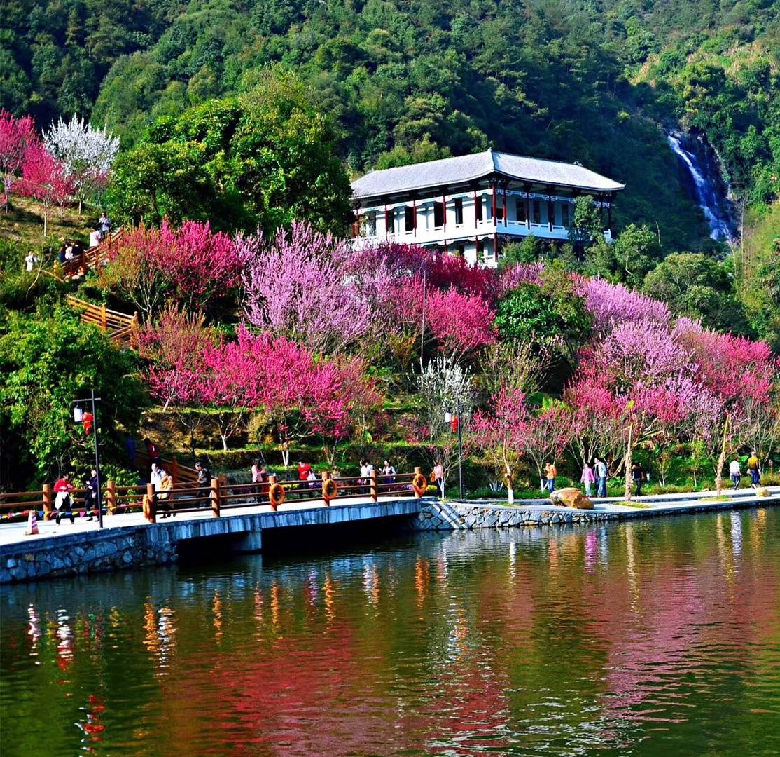 婚宴盛宴在永春：酒店选择与美好记忆